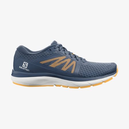 Scarpe Running Salomon VECTUR Uomo Blu Marino IT 8-W91